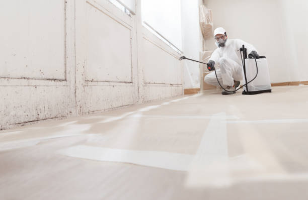 24/7 Emergency Attic Mold Remediation experts in Berryville, TX